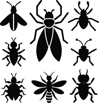 collection of insects