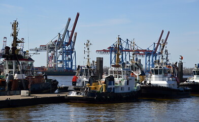 Fototapeta premium Port in the Hanse City Hamburg