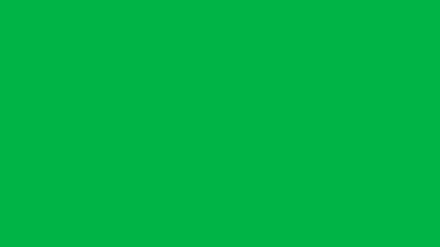 Roman warrior riding donkey with sword on green screen chromakey background. Fun for 2d animated cartoon animation humorous history, travel, or quirky ancient adventure scenes.