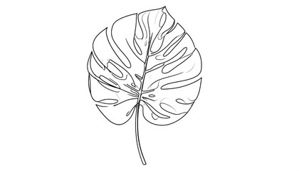 Fototapeta premium A black and white line drawing of a tropical monstera leaf