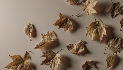Fototapeta premium Autumn leaves scattered on a light brown background creating a natural pattern.