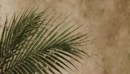 Palm frond against a textured beige background, creating a tropical vibe.