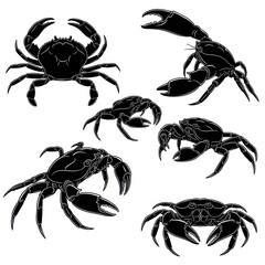 Image of Collection of crabs silhouettes isolated on white background printed on Printed Glass Splashbacks