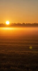 Fototapeta premium Vertical view of sunrise over field with fog and trees in the distance, landscape.