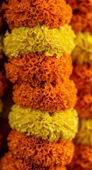Close up of vibrant orange and yellow marigold flower garlands for festive decorations.