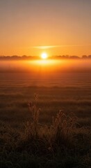 Golden sunrise over a misty field with grass in the foreground and trees in distance.