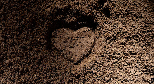Fertile farm soil ready for planting crops. Close-up of rich topsoil with humus and clay in heart. Cultivated ground in rural farm field. Freshly plowed earth. Organic compost mixed into farm soil in