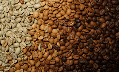 Different roast of arabica coffee beans. Coffee roasting in bean gradient. Texture pattern of roasted coffee for background. Close up detail of roasted coffee bean. Organic arabica beans roast.