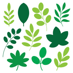 Naklejka premium Set of hand-drawn leave silhouette on a white background, nature leaves collection vector illustration, vector icon . Collection of Black Silhouettes of Tropical Leaves and Monstera palm leaf .