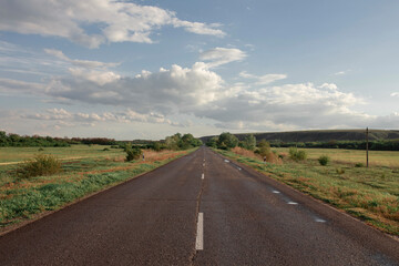 Fototapeta premium A road runs straight through fields with grass and trees under a cloudy sky during the day