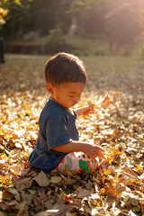 Asian Little Boy Playing with Autumn Leaves Outdoors, Peaceful Childhood in Nature