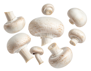 Scattered Button Mushrooms with Varying Sizes, Floating Arrangement, Isolated