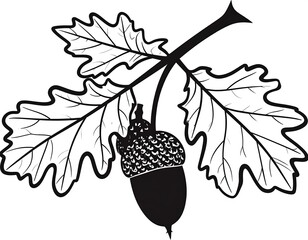 Black and white drawing of an acorn hanging with leaves