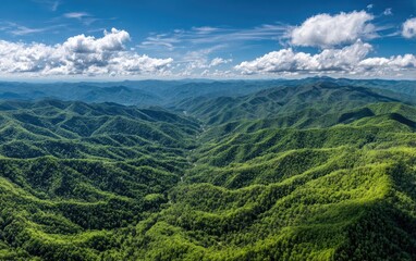Vast panoramic vista featuring layered mountain ranges covered with vibrant green trees beneath a bright blue sky with fluffy white clouds