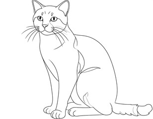 Obraz premium Black and white line drawing of a sitting cat with sharp whiskers