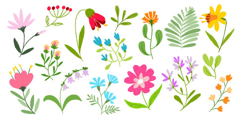 Crayon flower doodles in chalk pastel style, hand drawn spring blooms of bellflowers, daffodil and wildflowers with kid friendly aesthetic. Vector set for children greeting cards, botanical design