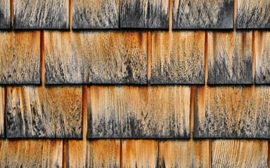 Aerial Landscape Image | Drone View