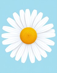 Minimalist White Daisy Flower with Bright Yellow Center on Blue Background