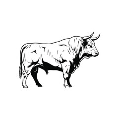 Fototapeta premium Strong Muscular Bull Profile Majestic Animal Illustration