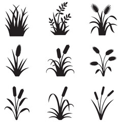 Collection of Various Grass and Reed Silhouettes