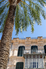 Detailed Mediterranean building facade with green shutters and palm tree trunk