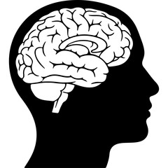 Human head silhouette with brain with transparent background