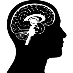 Human head silhouette with brain with transparent background