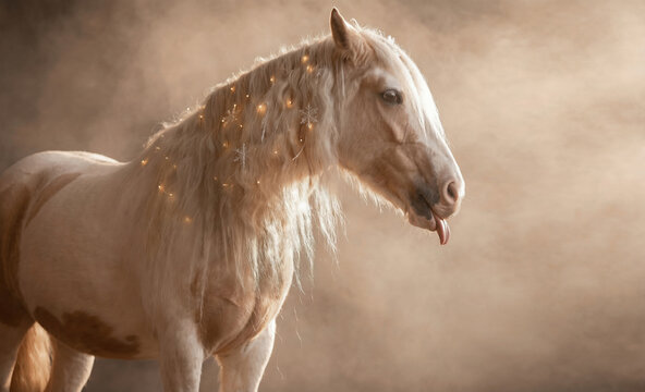 Light palomino horse with a long, wavy mane
