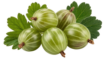 Fresh green gooseberries with leaves fruit isolated on a transparent background