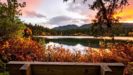 A serene lake landscape, framed by trees and foliage, featuring a wooden bench in the foreground - Powered by Adobe