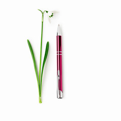 Minimalist composition with snowdrop flower and pen. Symbol of inspiration, creativity and fresh beginning
