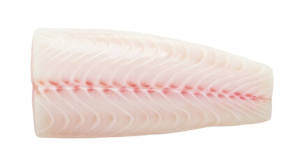 Isolated raw fish fillet, cod loin, prepared for cooking, clean skin and flesh, gourmet food