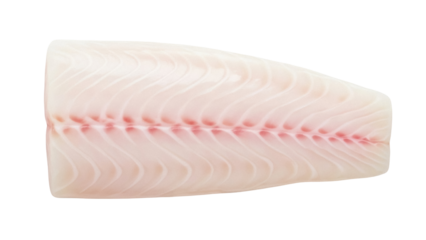 Isolated raw fish fillet, cod loin, prepared for cooking, clean skin and flesh, gourmet food