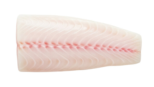 Isolated raw fish fillet, cod loin, prepared for cooking, clean skin and flesh, gourmet food