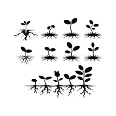 Seed Sprouting from Concrete Crack Silhouette set.