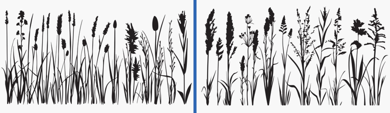wild grass illustration vector, botanical grass drawing, meadow plant sketch art, natural grass illustration, hand drawn wild plants, botanical foliage artwork, grass line art vector, nature plant ill