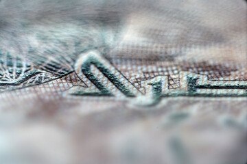 Close-Up View of Detailed Currency Texture and Patterns