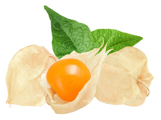 high-quality photograph of golden cape gooseberries surrounded by papery husks and vibrant green leaves, perfect for botanical prints, health food blogs, and educational materials.