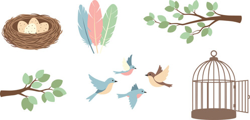 Illustrations of birds and their habitats