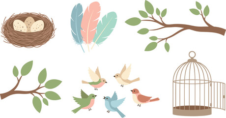 Illustrations of birds and nature elements
