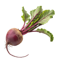 Red radish isolated on white