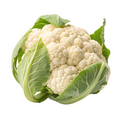 cauliflower isolated on white