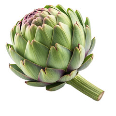 Fototapeta premium artichoke isolated on white