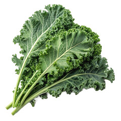 cabbage isolated on a white background