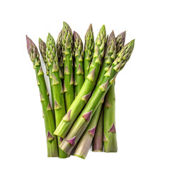 asparagus on white background