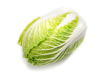 日本の冬野菜の白菜