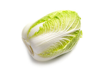 日本の冬野菜の白菜