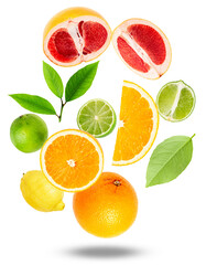 studio photograph of colorful citrus fruits, like oranges, grapefruits, limes and lemons cut in half, all displayed against a clean transparent background.