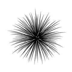 Fototapeta premium Abstract starburst explosion silhouette icon representing energy, impact, creativity, dynamic motion and visual emphasis