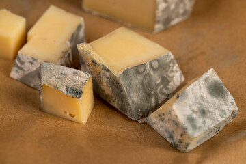 an old spoiled orange cheese with a lot of colorful mold, an inedible and dangerous cheese that was spoiled during the improper storage, the cheese is covered with mold dangerous to health